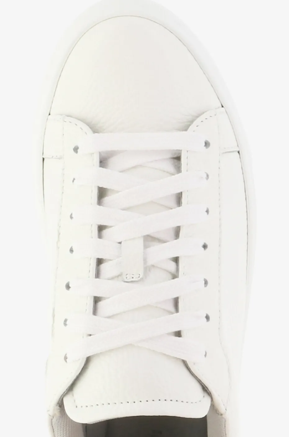 Niedrige Schnürsneakers aus genarbtem Leder Dalila