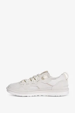 Niedrige Schnürsneakers aus Mesh und Wildleder Minimel